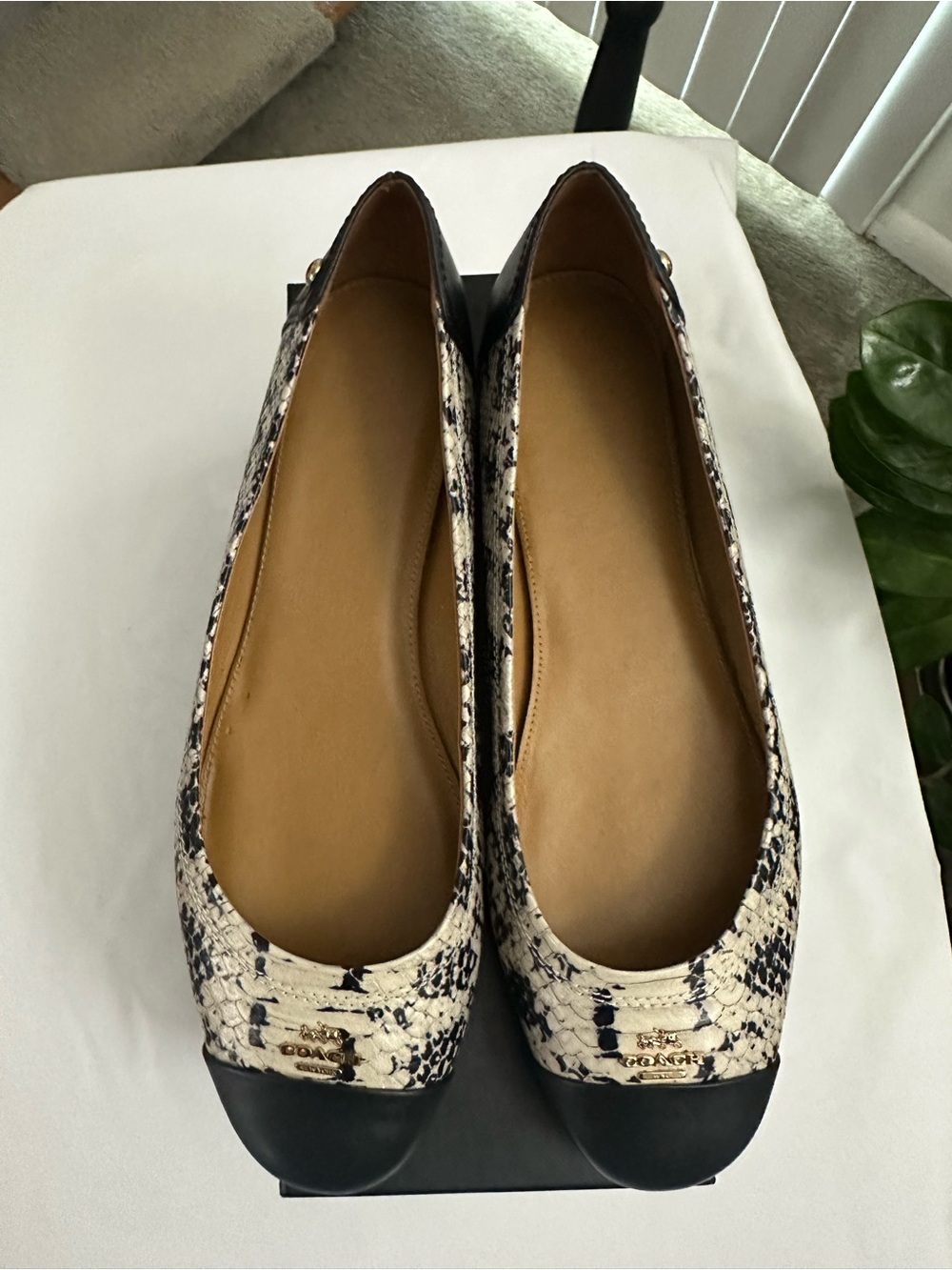 Coach Black and Cream Snake-Print Cap-Toe Ballet Flats